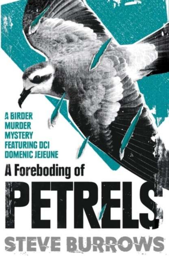A Foreboding of Petrels av Steve Burrows