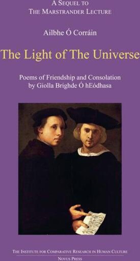 The light of the universe av Ailbhe Ó Corráin