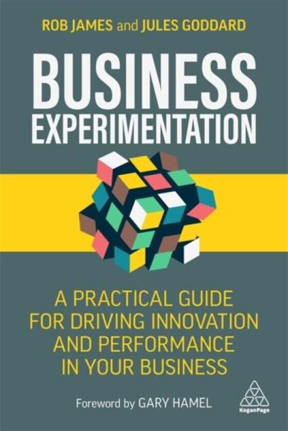 Business Experimentation av Rob James, Jules Goddard