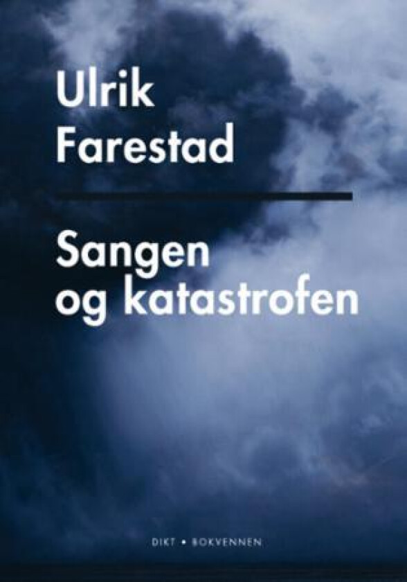 Sangen og katastrofen av Ulrik Farestad