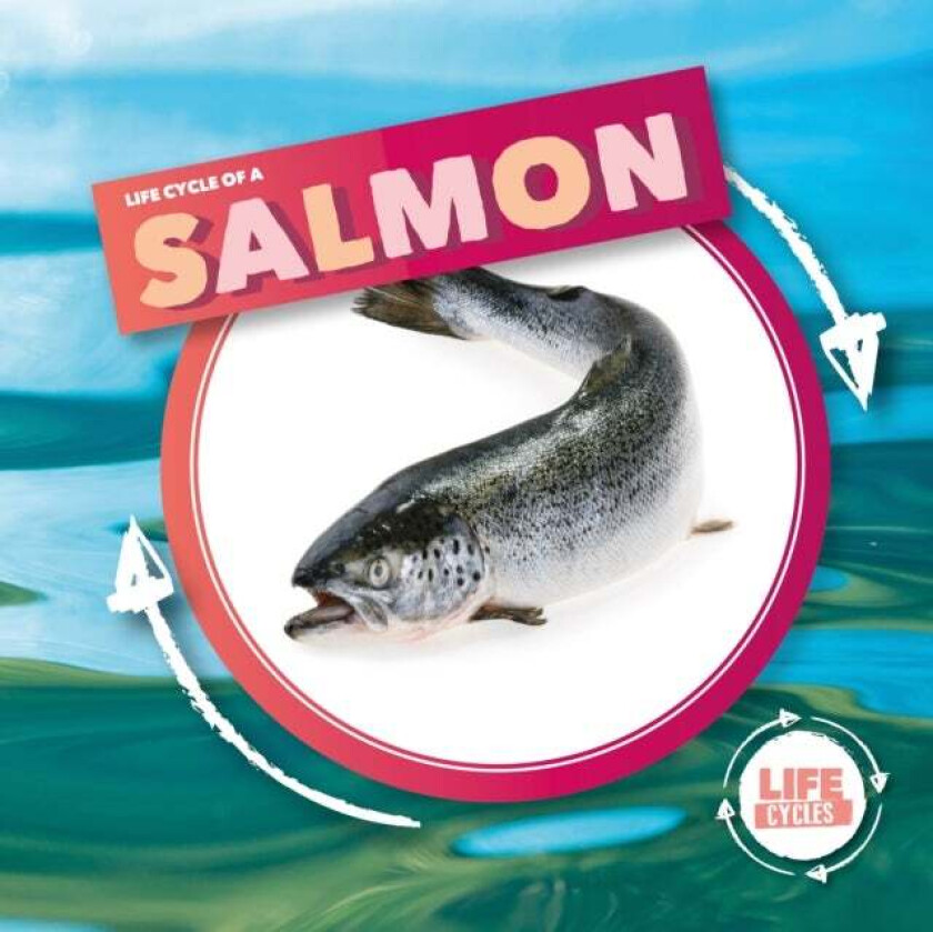 Life Cycle Of A Salmon av Kirsty Holmes