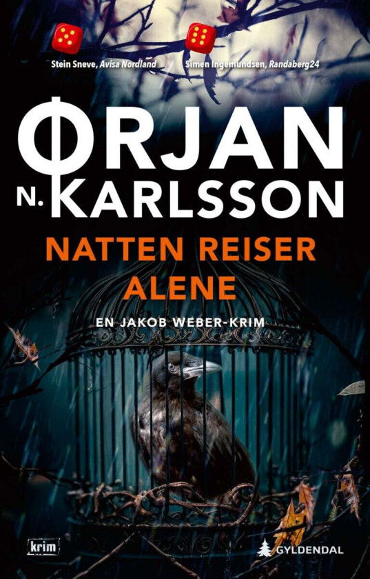 Natten reiser alene av Ørjan N. Karlsson