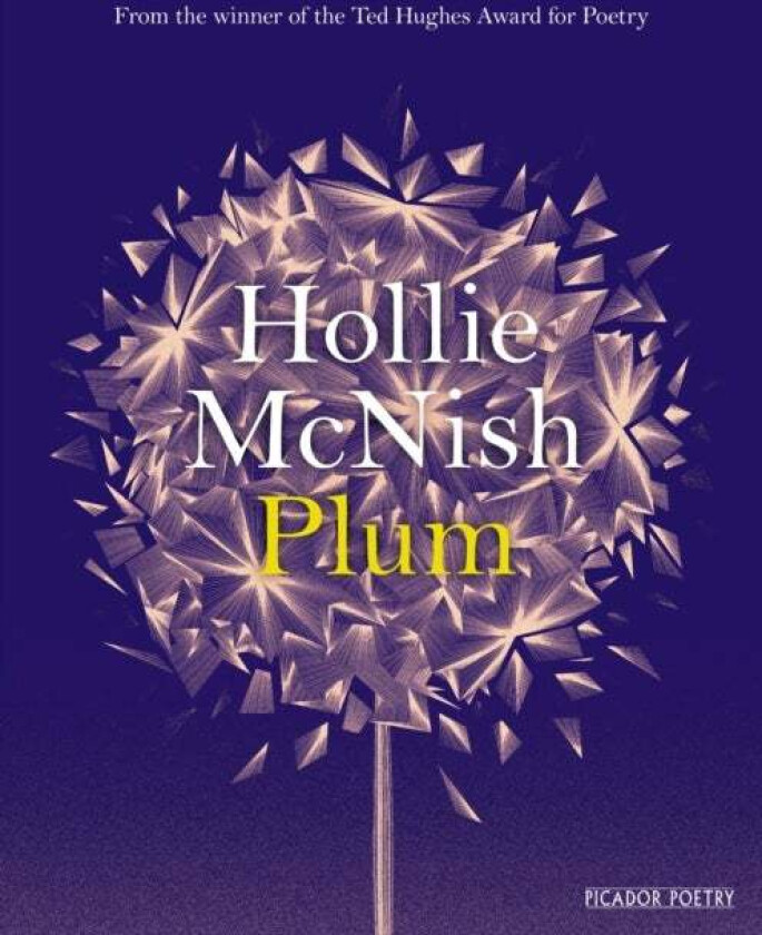 Plum av Hollie McNish