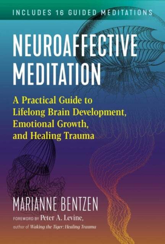 Neuroaffective Meditation av Marianne Bentzen