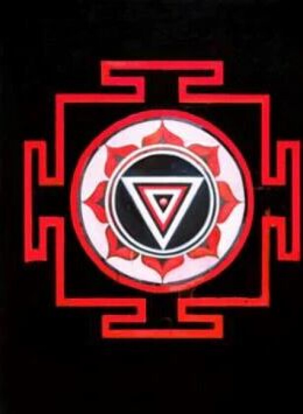 Fjellets skygge av Gregory David Roberts