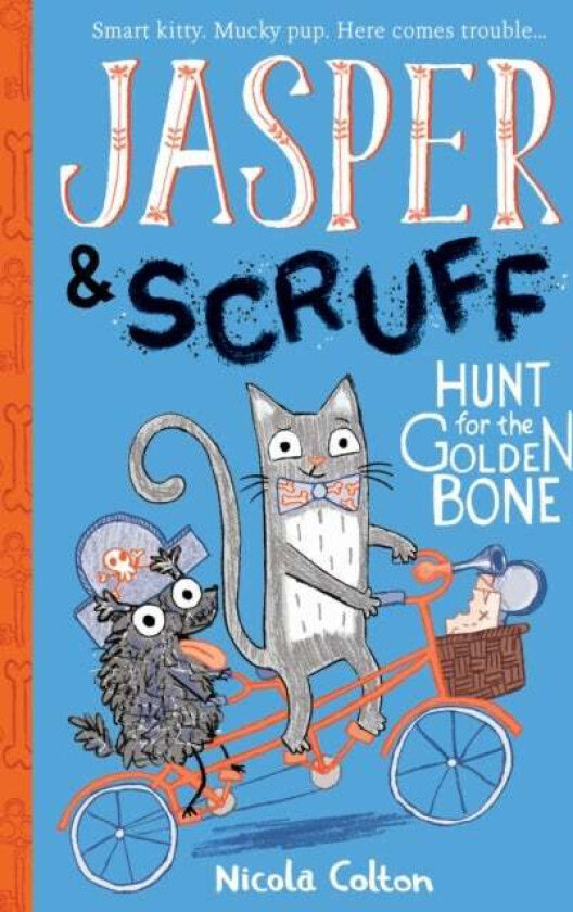 Jasper and Scruff: Hunt for the Golden Bone av Nicola Colton
