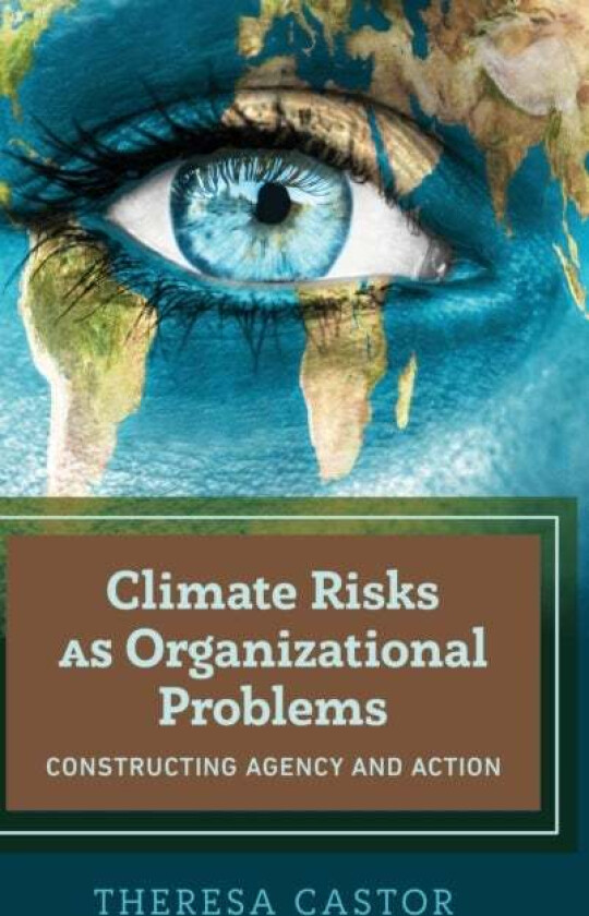 Climate Risks as Organizational Problems av Theresa Castor