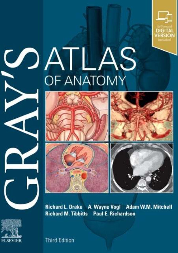 Gray's Atlas of Anatomy av Richard PhD FAAA Dr. Drake, A. Wayne Vogl, Mi