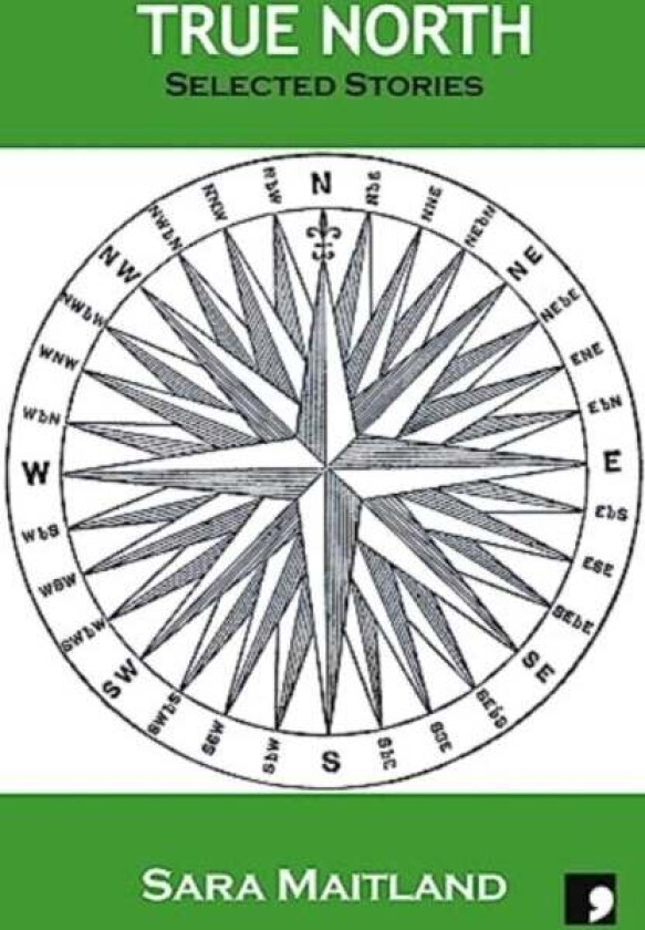 True North av Sara Maitland