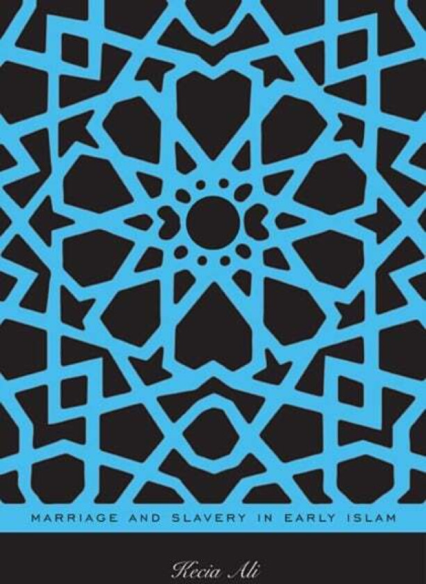 Marriage and Slavery in Early Islam av Kecia Ali