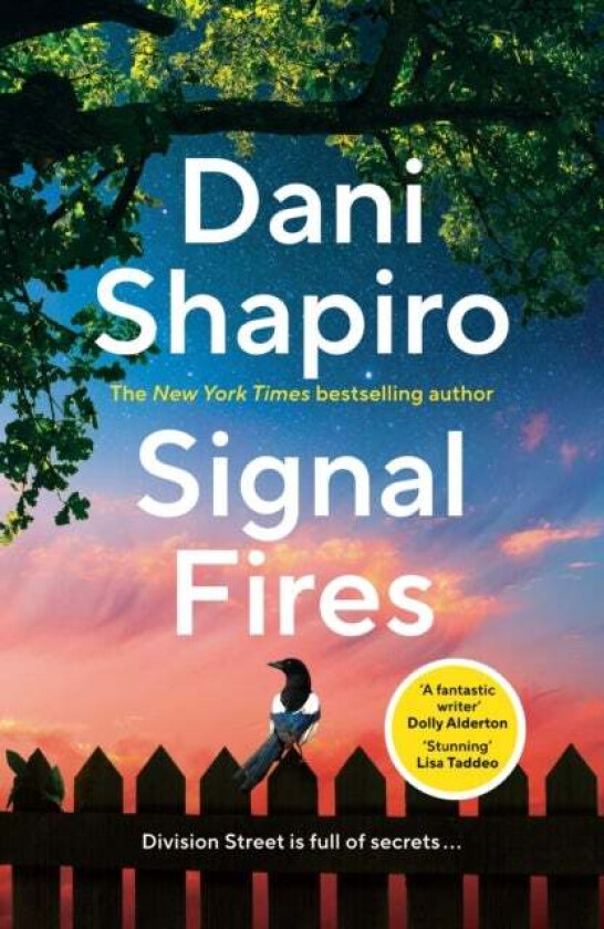 Signal Fires Av Dani Shapiro