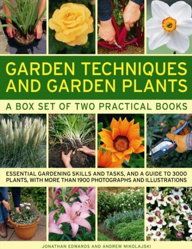 Garden Techniques and Garden Plants av Jonathan Edwards