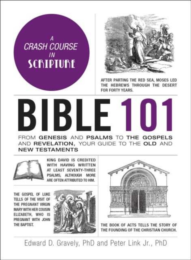 Bible 101 av Dr. Edward D. PhD Gravely, Dr. Peter Jr. PhD Link