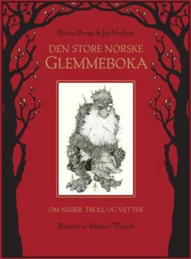 Den store norske glemmeboka av Bianca Boege, Jan Vardøen