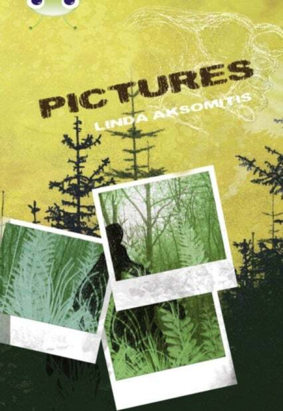 Bug Club Independent Fiction Year 5 Blue B Pictures av Linda Aksomitis
