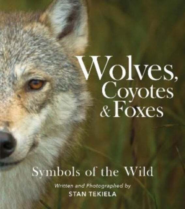 Wolves, Coyotes & Foxes av Stan Tekiela
