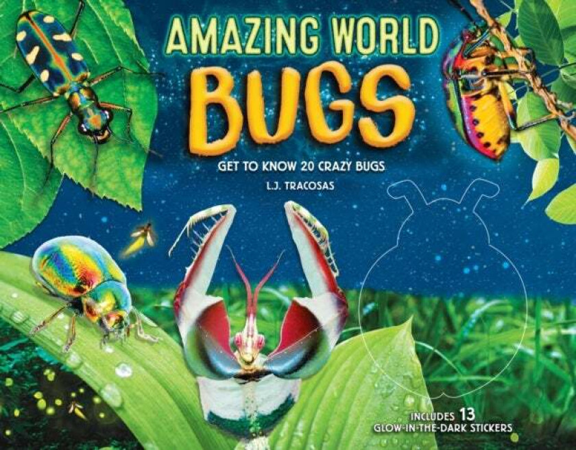 Amazing World: Bugs av L. J. Tracosas