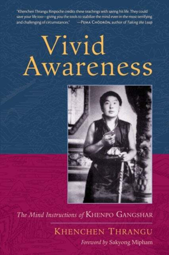 Vivid Awareness av Khenchen Thrangu