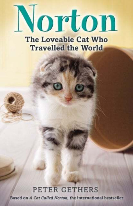 Norton, The Loveable Cat Who Travelled the World av Peter Gethers
