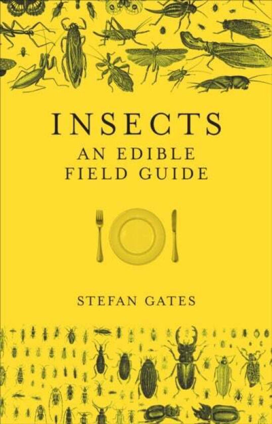 Insects av Stefan Gates