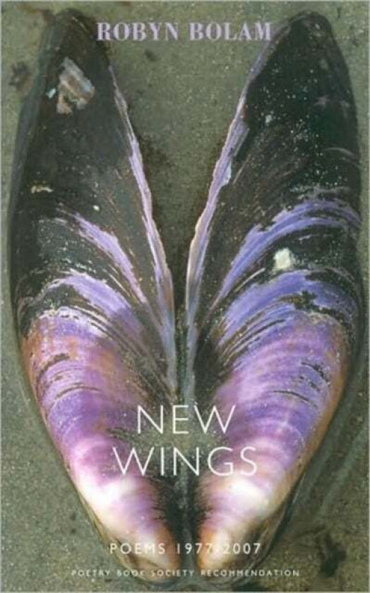 New Wings av Robyn Bolam