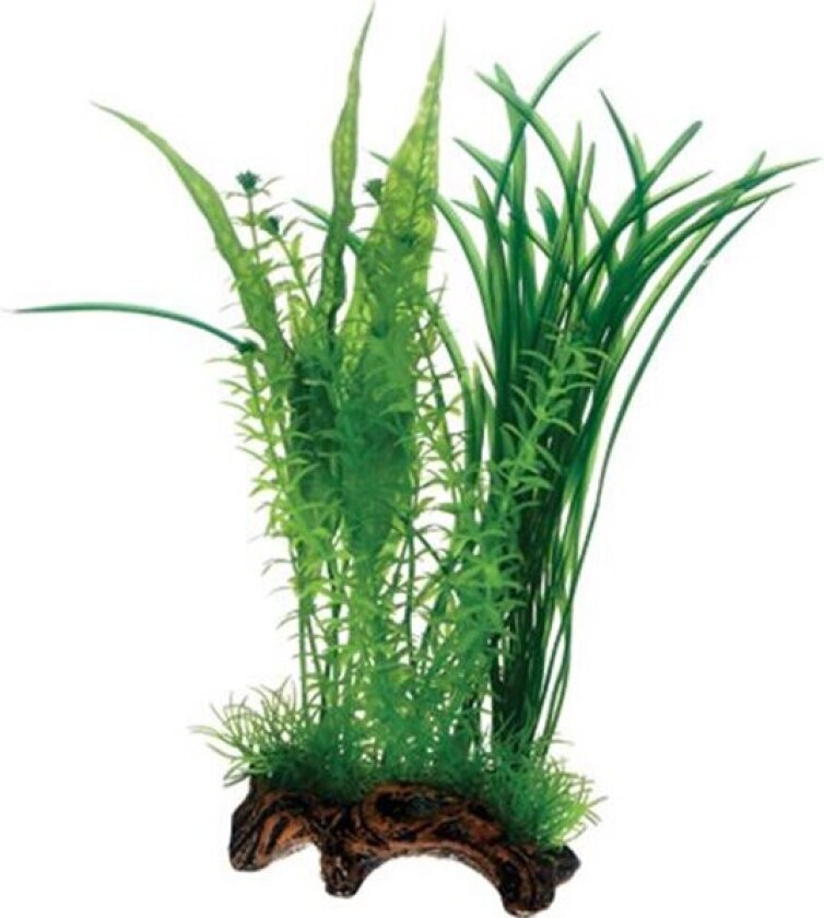 Bilde av Flora Root 1 L 30 cm