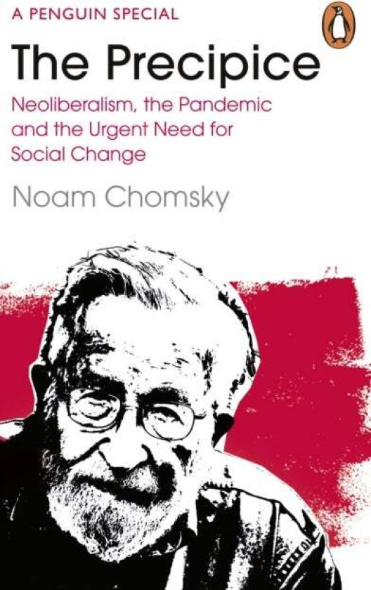 The Precipice av Noam Chomsky, C. J. Polychroniou