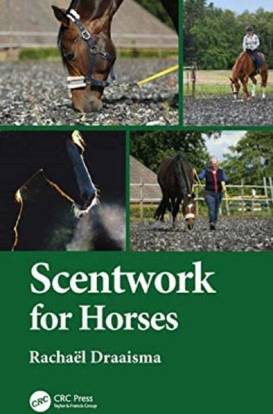 Scentwork for Horses av Rachael Draaisma