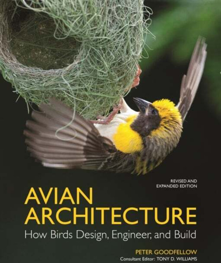 Avian Architecture  Revised And Expanded Edition Av Peter Goodfellow