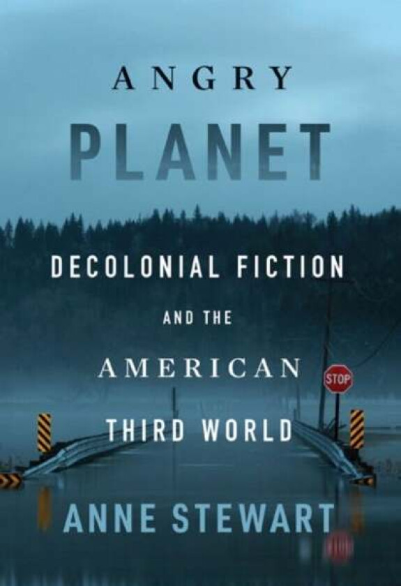 Angry Planet av Anne Stewart