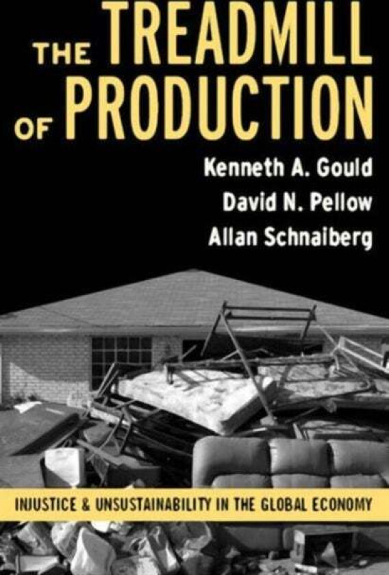 Treadmill of Production av Kenneth A. Gould, David N. Pellow, Allan Schnaiberg