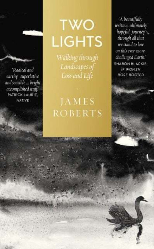 Two Lights av James Roberts