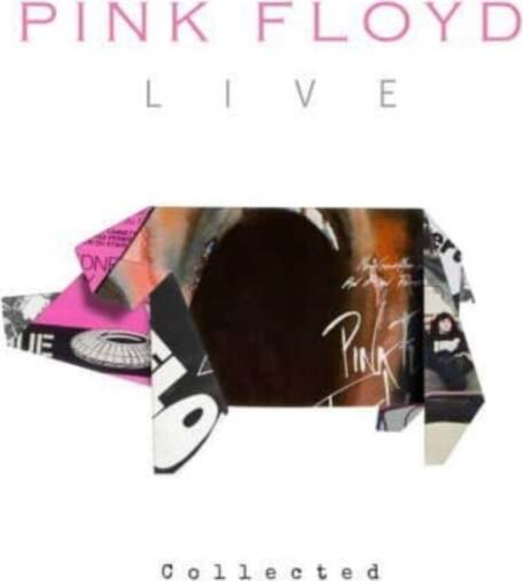 Pink Floyd Live av Alison James