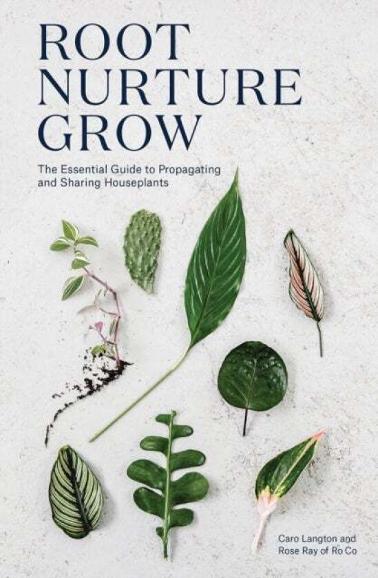 Root, Nurture, Grow av Caro Langton, Rose Ray, Ro Co