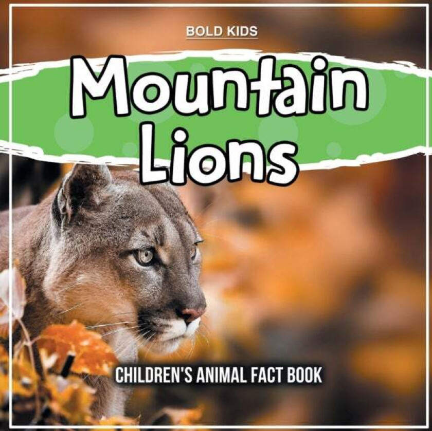 Mountain Lions av Bold Kids