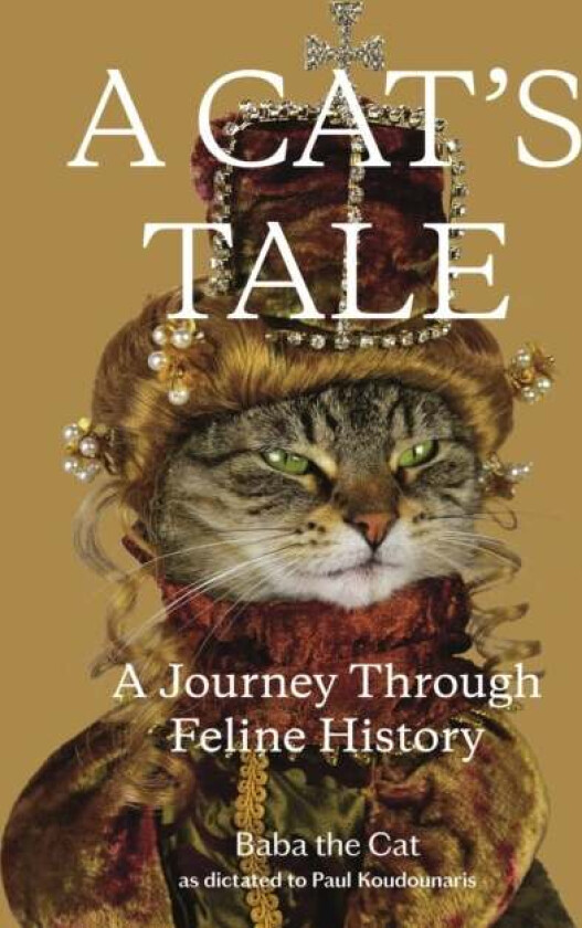 A Cat's Tale av Paul Koudounaris, Baba the Cat