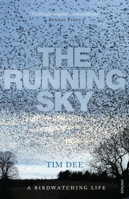 The Running Sky av Tim Dee