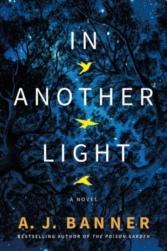 In Another Light av A. J. Banner