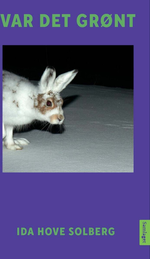 Var det grønt av Ida Hove Solberg