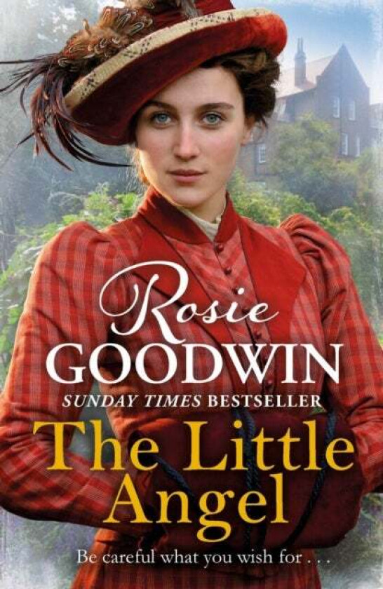The Little Angel av Rosie Goodwin