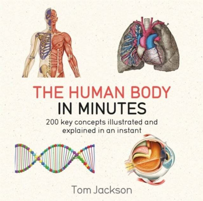 The Human Body in Minutes av Tom Jackson
