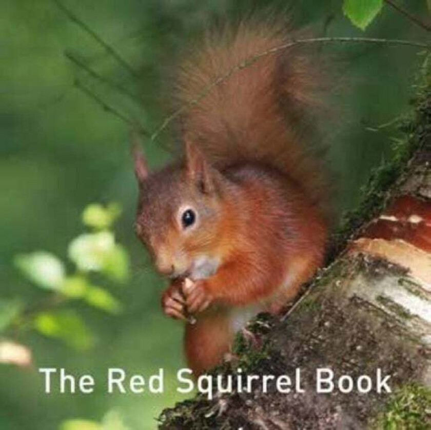 The Red Squirrel Book av Jane Russ