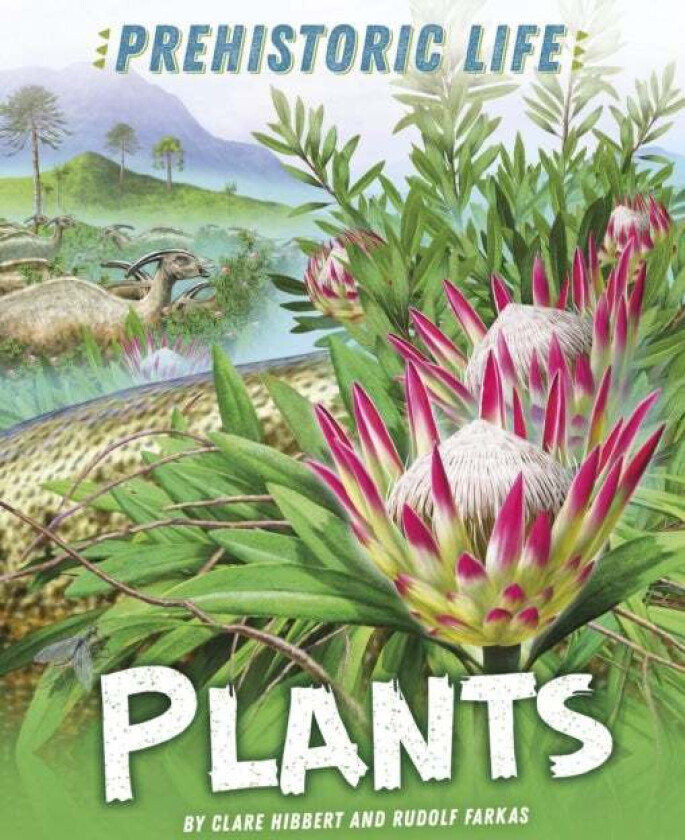 Prehistoric Life: Plants av Clare Hibbert