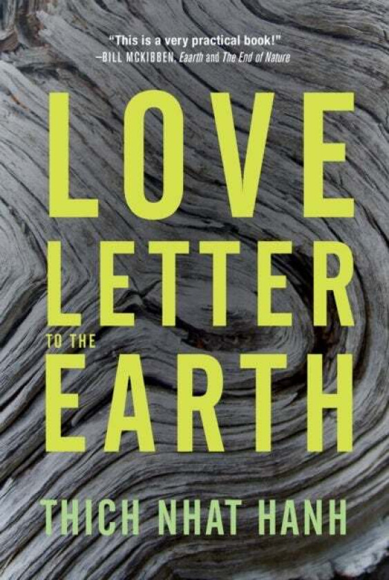 Love Letter to the Earth av Thich Nhat Hanh