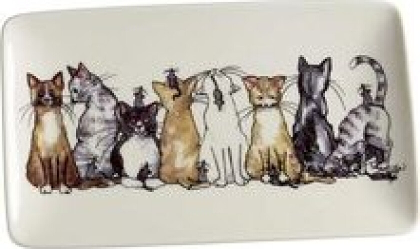 Asjett/serveringsfat med håndtegnet motiv Katt 1-pk