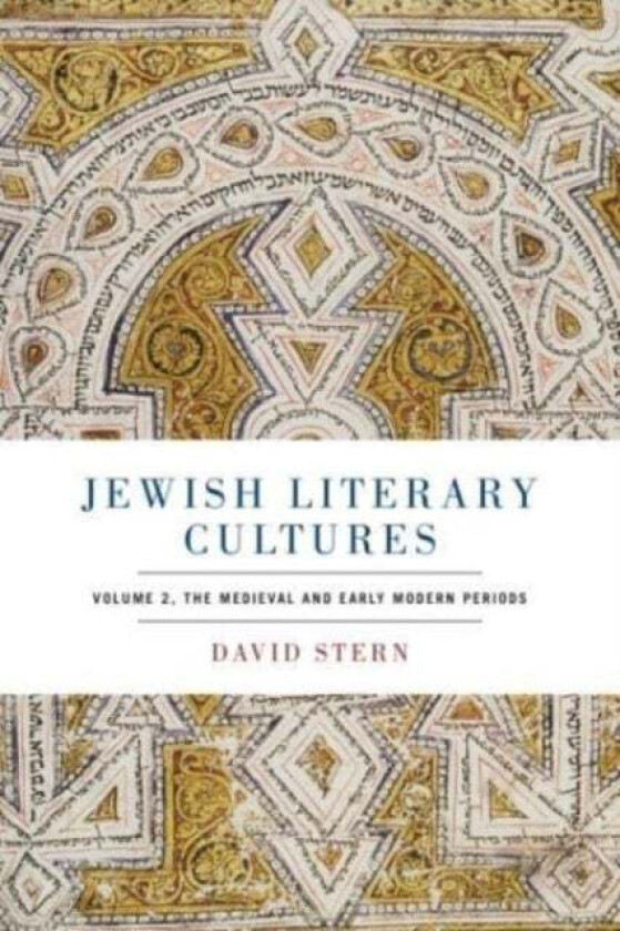 Jewish Literary Cultures av David (Starr Professorship in Classical and Modern Hebrew Literature University of Pennsylvania) Stern