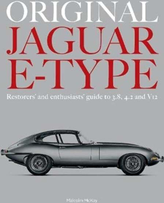 ORIGINAL JAGUAR E-TYPE av Malcolm McKay