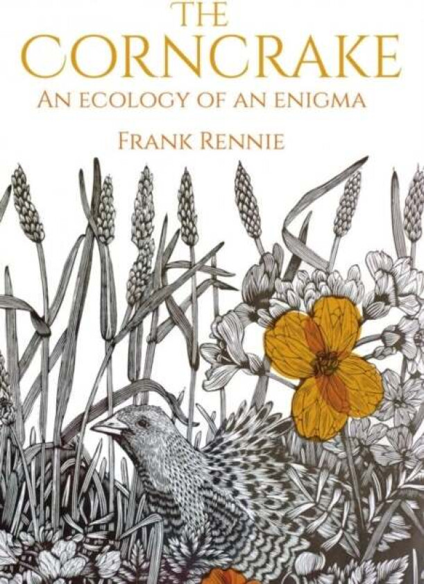 The Corncrake av Frank Rennie