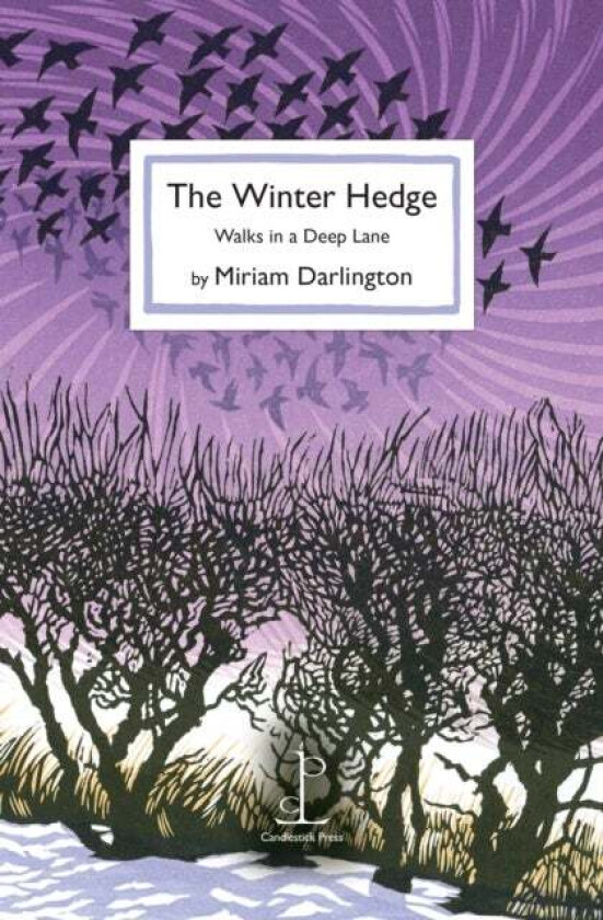 The Winter Hedge av Miriam Darlington