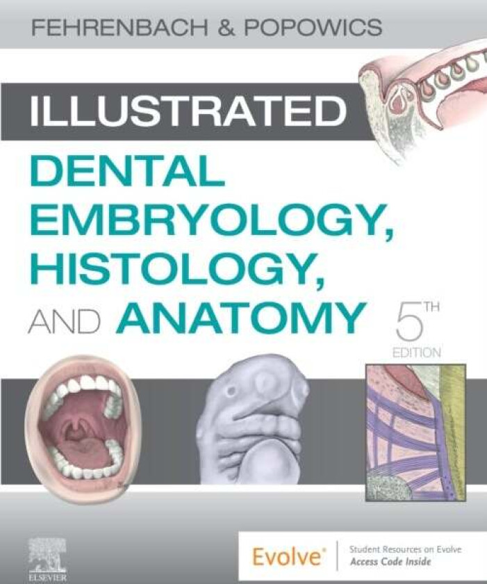 Illustrated Dental Embryology, Histology, and Anatomy av Margaret J. (Dental Hygiene Educational Consultant Oral Biology Technical Writer Adjunct Facu